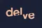 Delve Architects